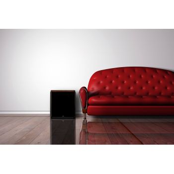 Martin Logan BalancedForce 210 in the room