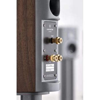 Audiovector R 1 Arrete italian walnut back