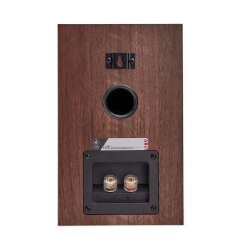 Fyne Audio F300i walnut, connections