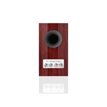 Bowers & Wilkins 707 S3 Prestige Edition rear-connections