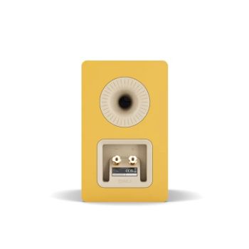 Dali Kupid golden yellow back-connections