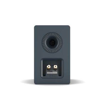 Dali Kupid chilly blue back-connections