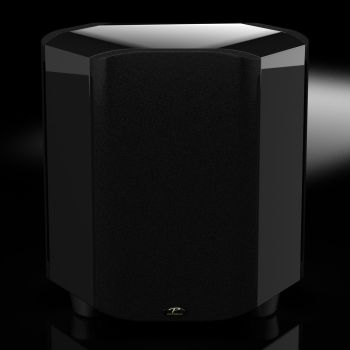 Paradigm Signature Sub-2 black gloss with grilles