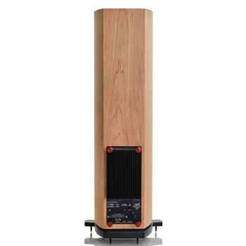 ATC SCM19A cherry rear-connections