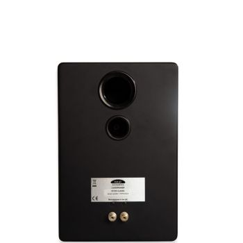 Neat Classic Petite black rear-connections