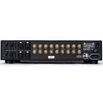 Rogue Audio RP-9 v2 rear-connections