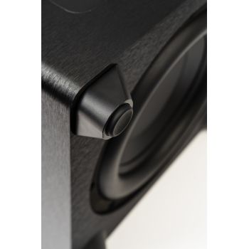 Martin Logan Dynamo Foundation 12 woofer