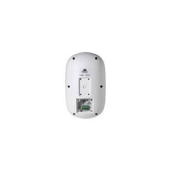 Modern Acoustics LEX40 white, rear-connections