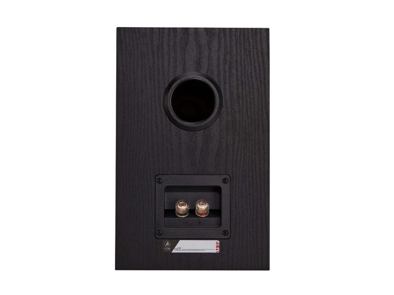 Fyne Audio F301i black