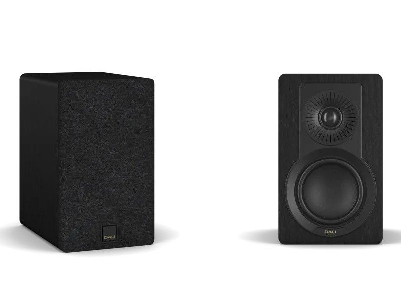 Dali Kupid black ash