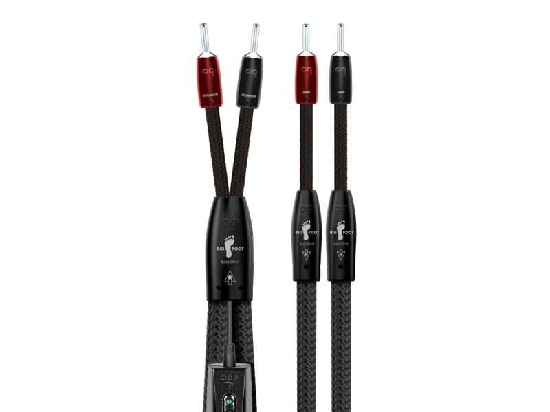 AudioQuest BigFoot BASS